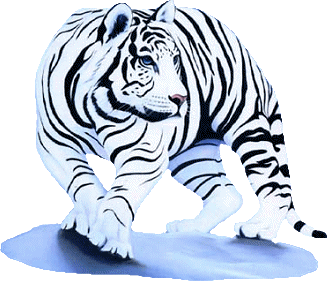 le tigre